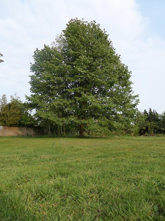Villa Bijenhof Varsenare Værelse billede