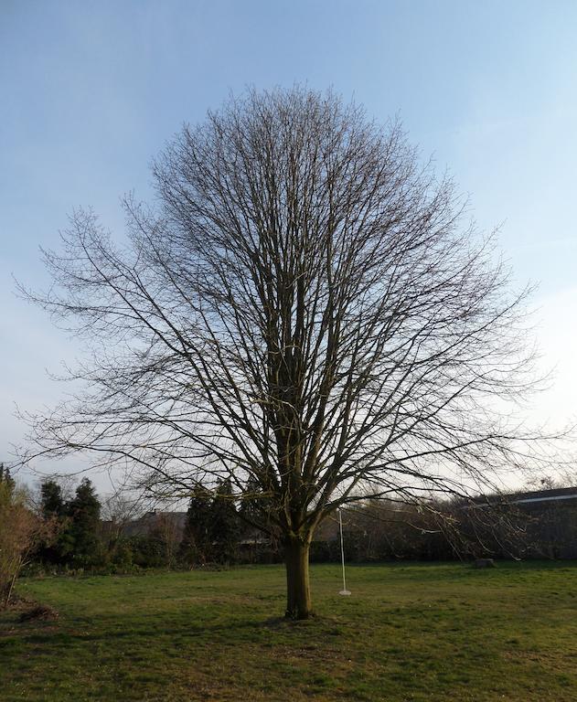 Villa Bijenhof Varsenare Værelse billede